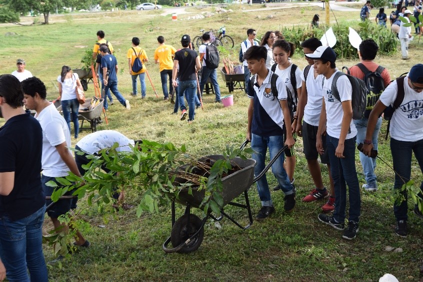 reforestacion hunucma